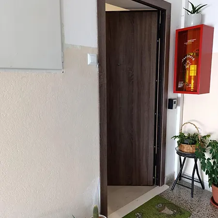 Sunshine 스플리트